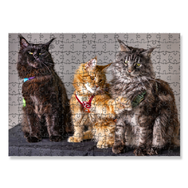Puzzle
