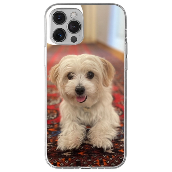 Cover Gomma iPhone 13 Pro