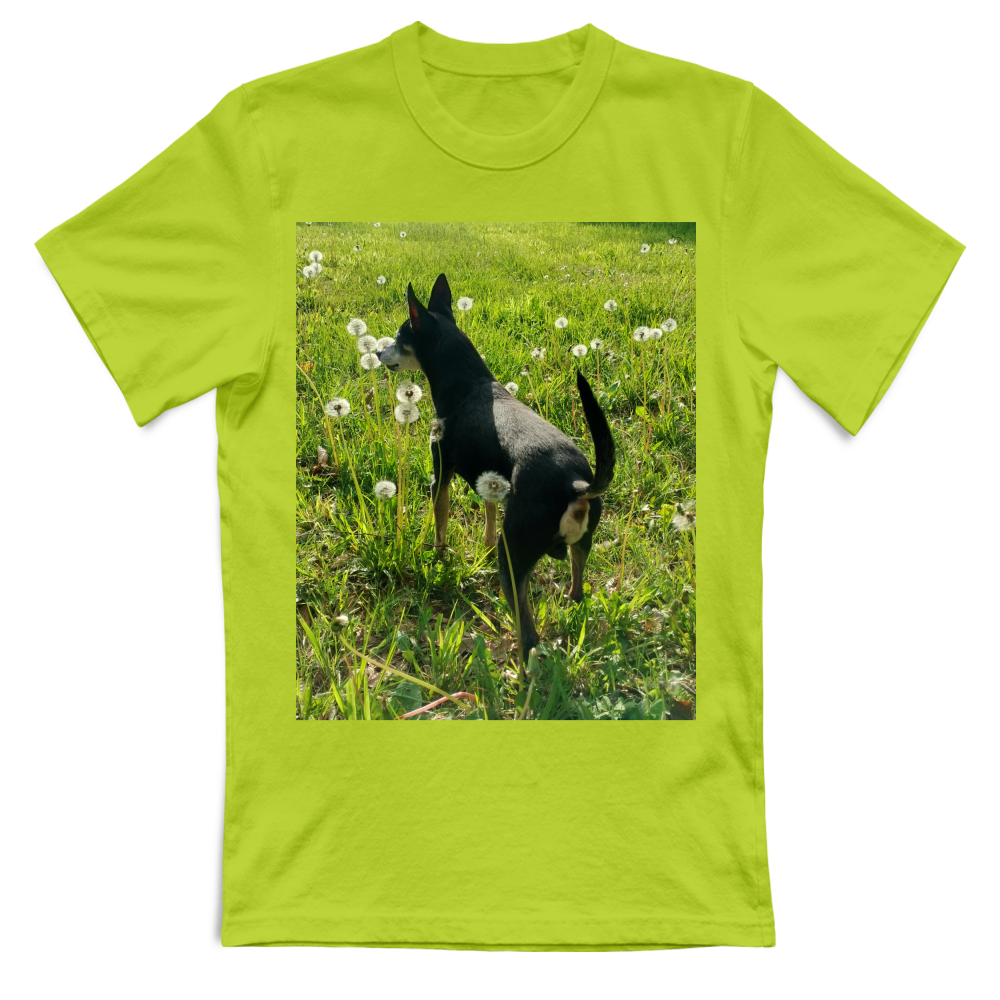 T-Shirt Donna