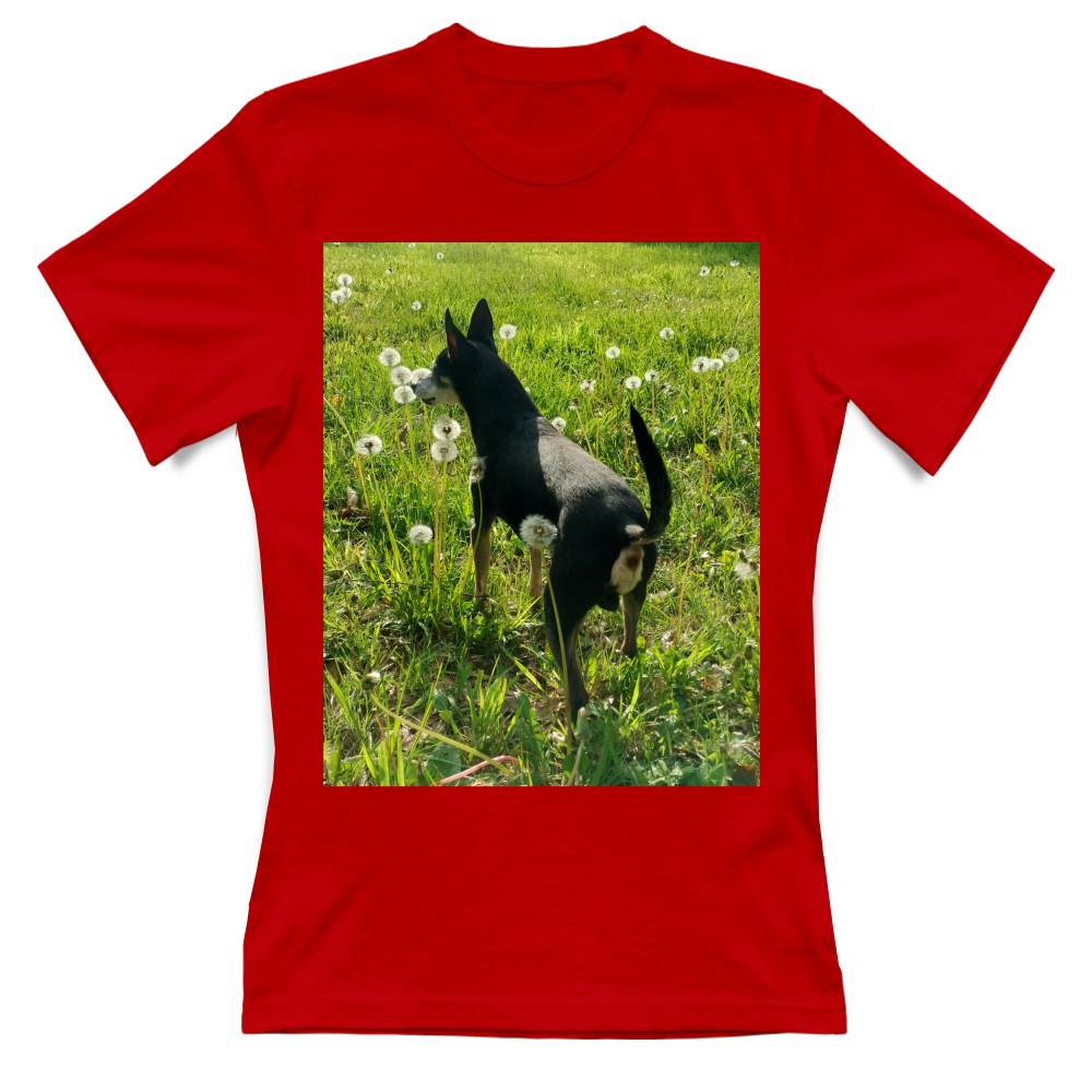T-Shirt Donna