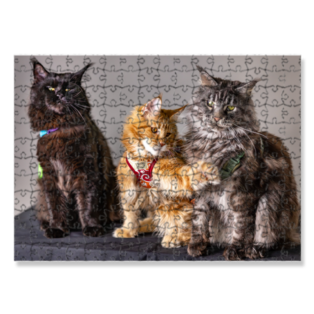 Puzzle