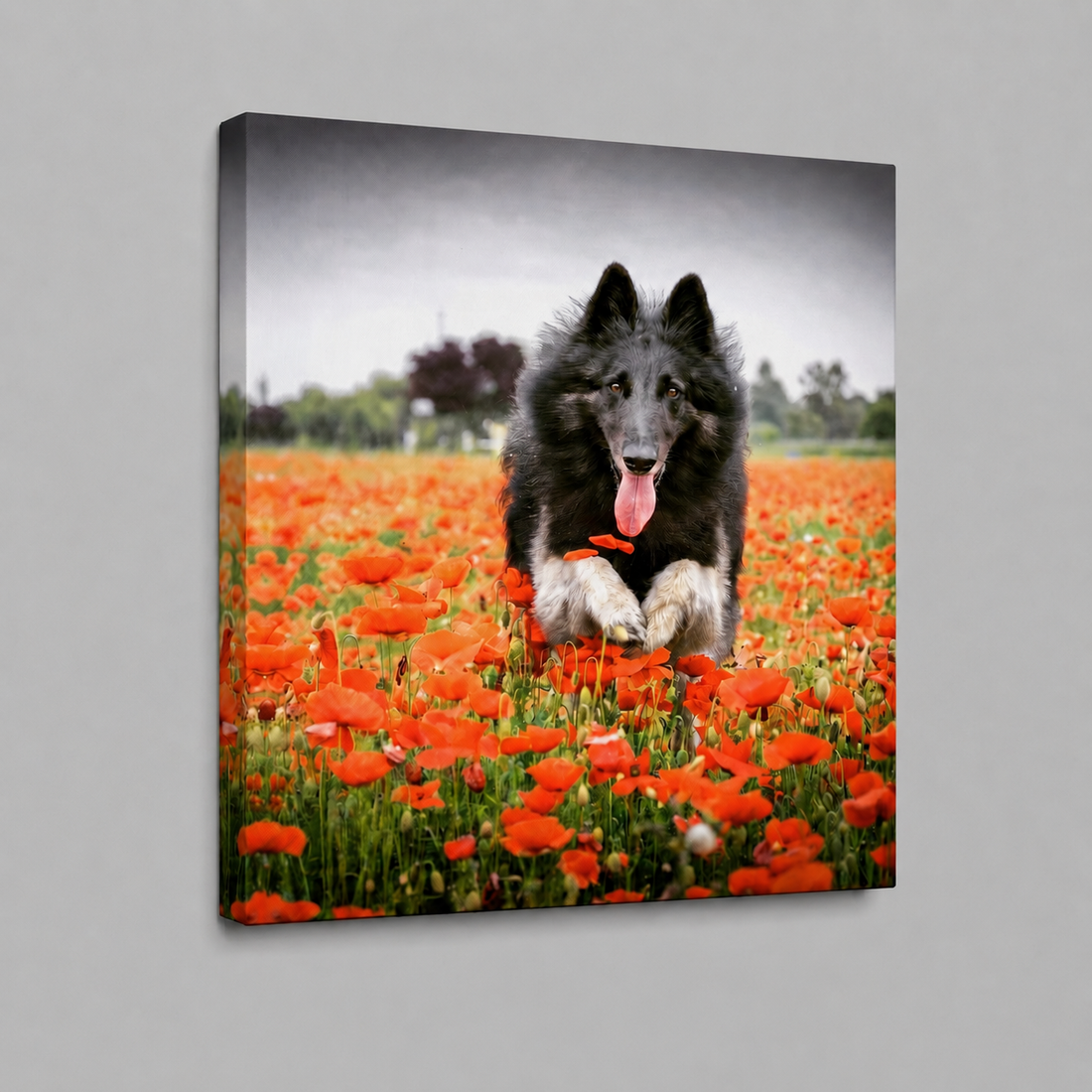 Foto di un cane trasformata in ritratto su tela canvas
