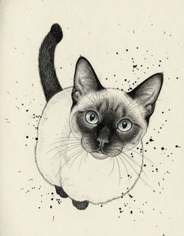 Ritratto gatto su tela stile Schizzo a China