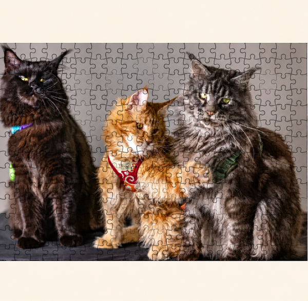 Puzzle personalizzato